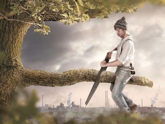 Sawing-off-the-branch-you-are-sitting-on